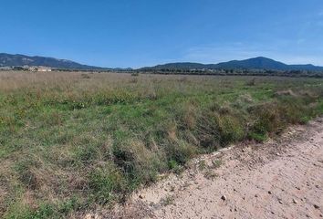 Terreno en  Salinas, Alicante Provincia