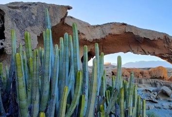 Terreno en  Tajao, St. Cruz De Tenerife