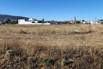 Terreno en  Llerena, Badajoz Provincia