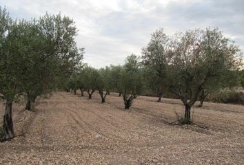 Terreno en  Salinas, Alicante Provincia