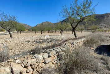 Terreno en  Barbarroja, Alicante Provincia