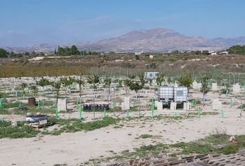 Terreno en  Aspe, Alicante Provincia