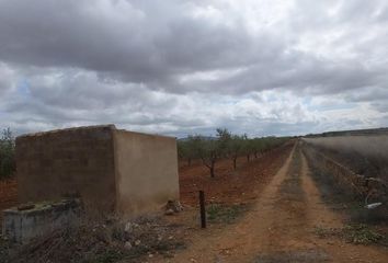 Terreno en  Yecla, Murcia Provincia