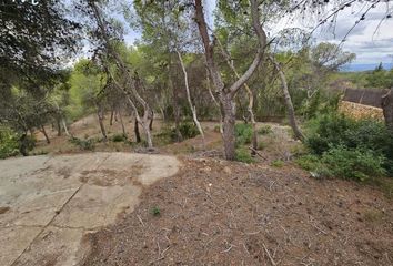 Terreno en  Naquera, Valencia/valència Provincia