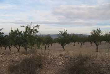 Terreno en  Salinas, Alicante Provincia