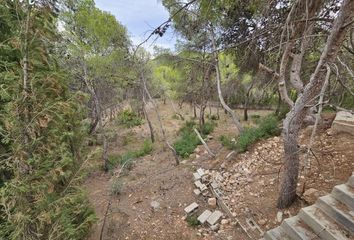 Terreno en  Naquera, Valencia/valència Provincia