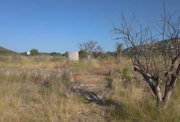 Terreno en  Pedreguer, Alicante Provincia