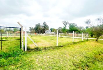 Terrenos en  Domselaar, Partido De San Vicente