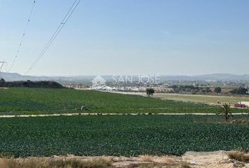 Terreno en  La Marina Del Pinet, Alicante Provincia