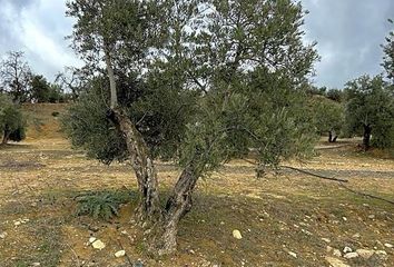 Terreno en  Lupion, Jaén Provincia