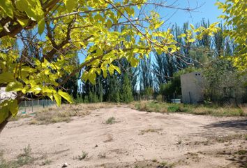 Terrenos en  Luján De Cuyo, Mendoza