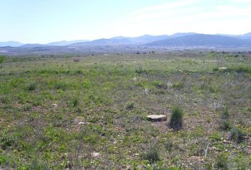 Terreno en  Pinoso, Alicante Provincia