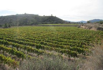 Terreno en  La Romana, Alicante Provincia