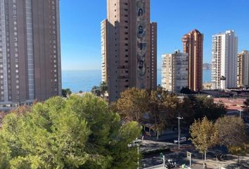 Estudio en  Benidorm, Alicante Provincia