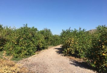 Terreno en  Las Lumbreras, Murcia Provincia