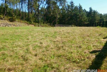 Terreno en  Mungia, Vizcaya