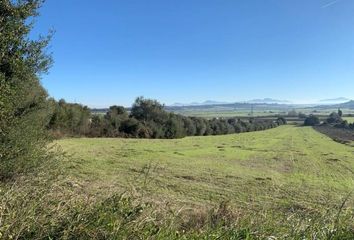 Terreno en  Muro, Balears (illes)