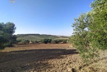 Chalet en  Arcos De La Frontera, Cádiz Provincia