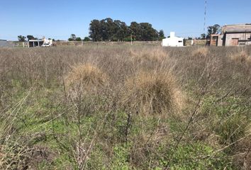 Terrenos en  Otro, La Pampa