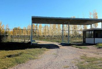 Terrenos en  San Carlos, Mendoza