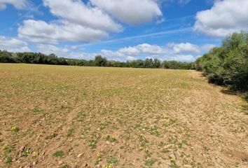 Terreno en  S'illot-cala Morlanda, Balears (illes)