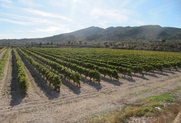 Terreno en  Alquebla, Alicante Provincia