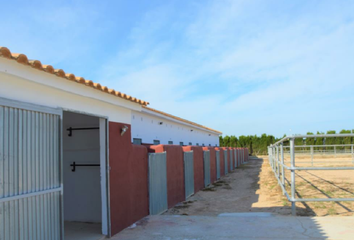 Terreno en  San Miguel De Salinas, Alicante Provincia