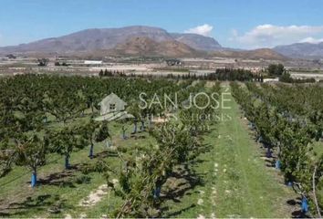 Terreno en  Monforte Del Cid, Alicante Provincia