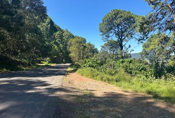 Lote de Terreno en  Colonia Mazamitla, Mazamitla