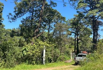 Lote de Terreno en  Colonia Mazamitla, Mazamitla