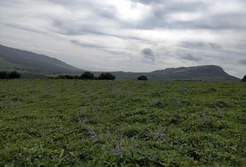 Terreno en  Ubrique, Cádiz Provincia