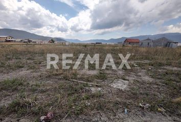 Lote de Terreno en  Arteaga, Arteaga, Arteaga, Coahuila