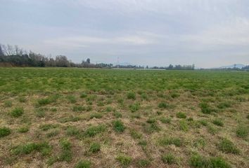 Parcela en  Calera De Tango, Maipo