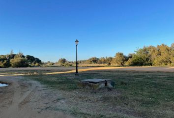 Terreno en  Almonte, Huelva Provincia