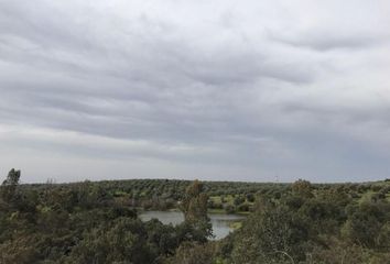 Chalet en  Paterna Del Campo, Huelva Provincia