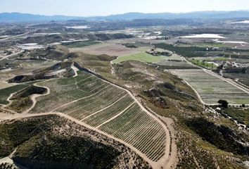 Terreno en  Cuevas Del Almanzora, Almería Provincia