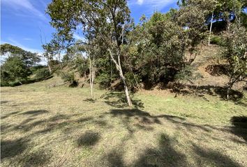 Lote de Terreno en  Rionegro Antioquía