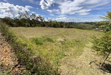 Lote de Terreno en  Rionegro Antioquía