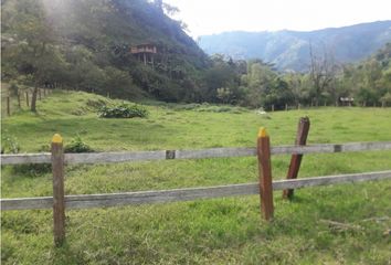 Lote de Terreno en  Lisboa, Manizales