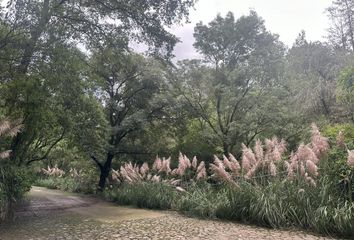 Lote de Terreno en  Avenida Arteaga Y Salazar 391-391, El Contadero, Cuajimalpa De Morelos, Ciudad De México, 05500, Mex