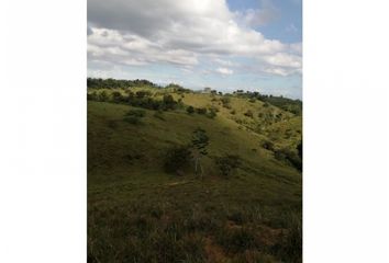 Lote de Terreno en  San Carlos, Antioquía