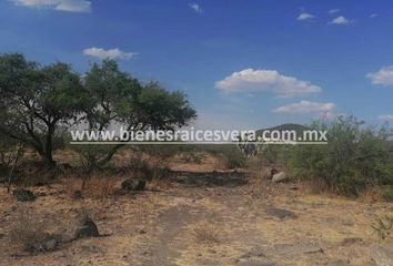 Lote de Terreno en  Carretera Rancho San Judas-el Oasis, El Tejocote, Tequisquiapan, Querétaro, 76781, Mex