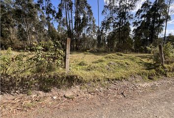 Terreno Comercial en  Octavio Cordero Palacios (santa Rosa), Cuenca