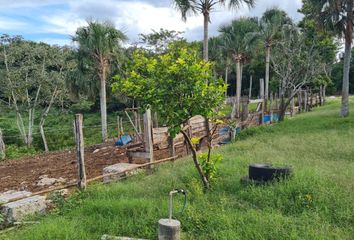 Casa en  Hacienda El Cuyo, Tizimín