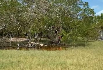 Lote de Terreno en  Isla De Holbox, Lázaro Cárdenas, Quintana Roo