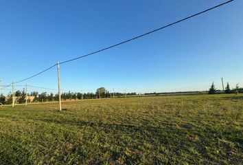 Terrenos en  Avellaneda, Santa Fe Provincia