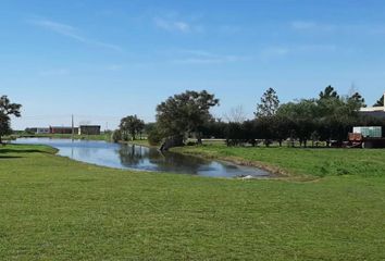 Terrenos en  Timbúes, Santa Fe