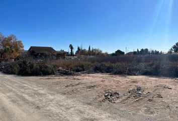 Terreno en  La Marina, Alicante Provincia