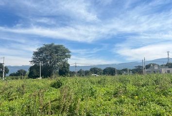 Terrenos en  Cevil Redondo, Tucumán