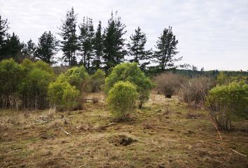 Parcela en  Parral, Linares